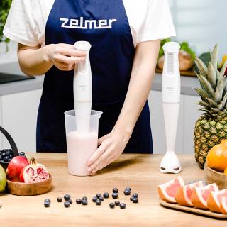 zelmer zhb4560s botmixer